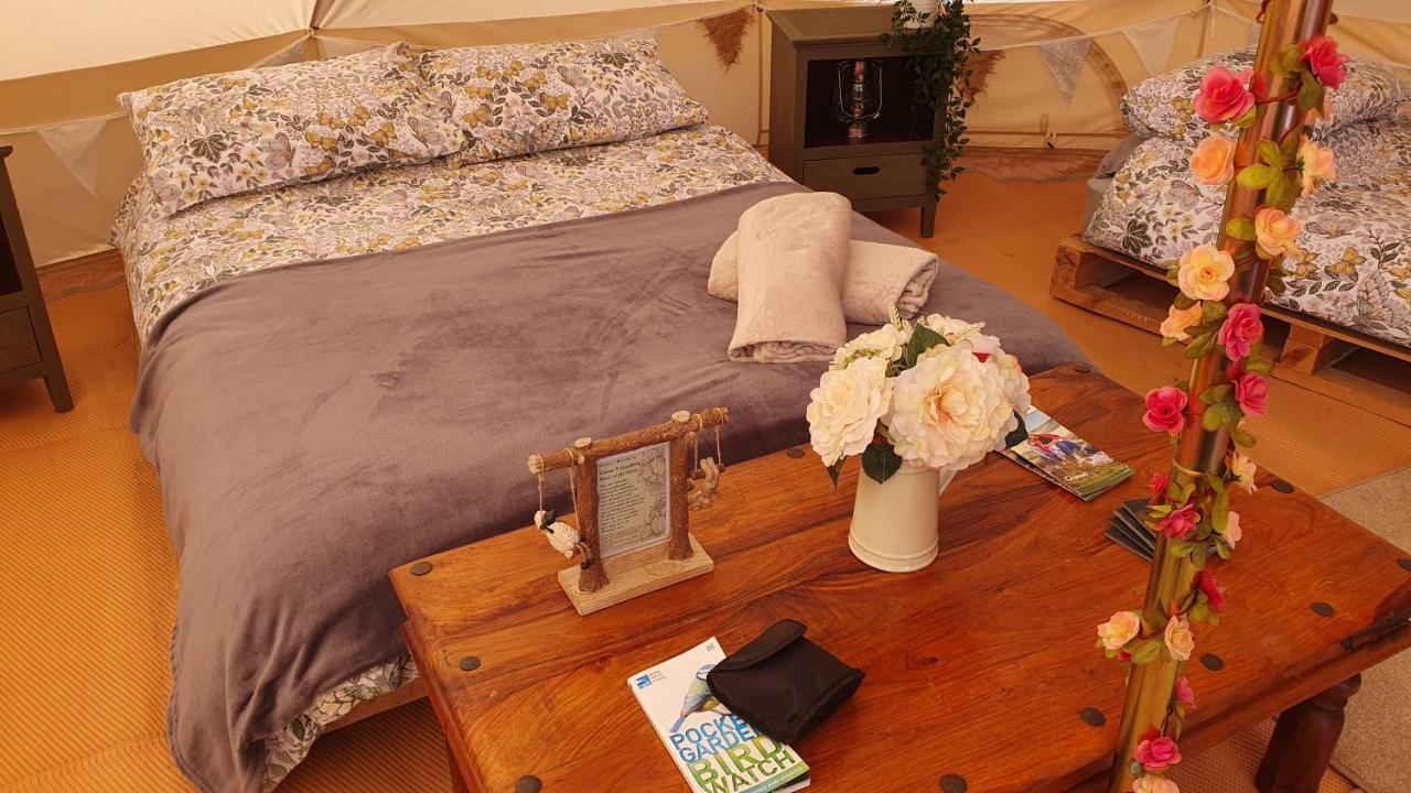Calon Y Goedwig Glamping Hotel Llandovery Exterior photo
